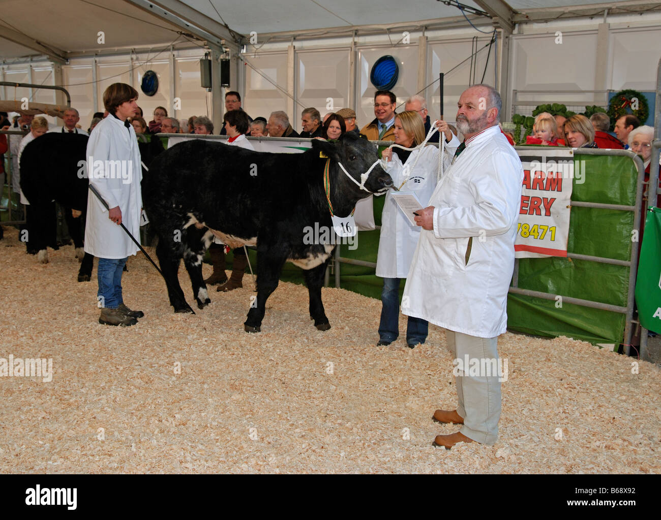 a rural animal stock show in truro,england,uk Stock Photo
