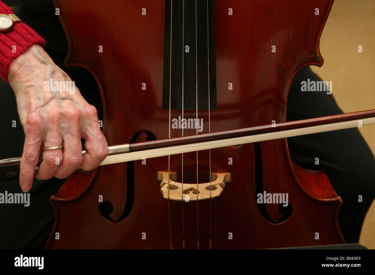 Elderly woman cellist strumming cello strings with bow Stock Photo - Alamy