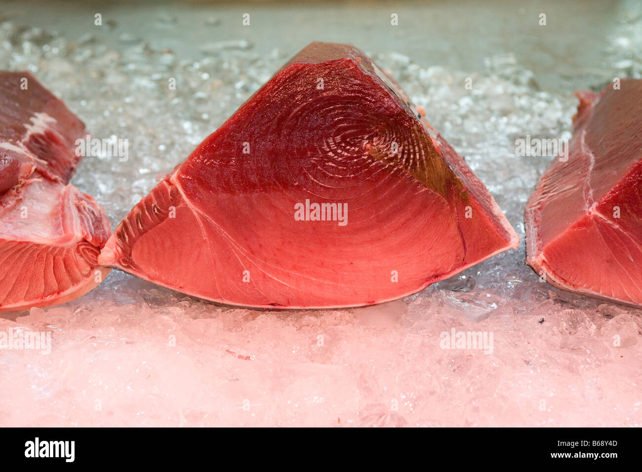 Tuna fillets at The Tsukiji Fish Market in Tokyo, Japan Stock Photo Alamy