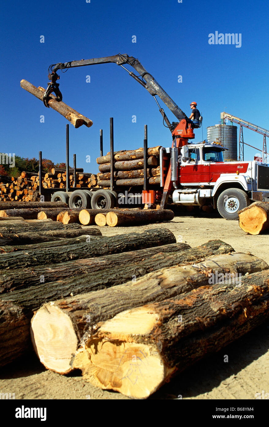 High Grade Hardwood Logs For Sale - Weaber Lumber