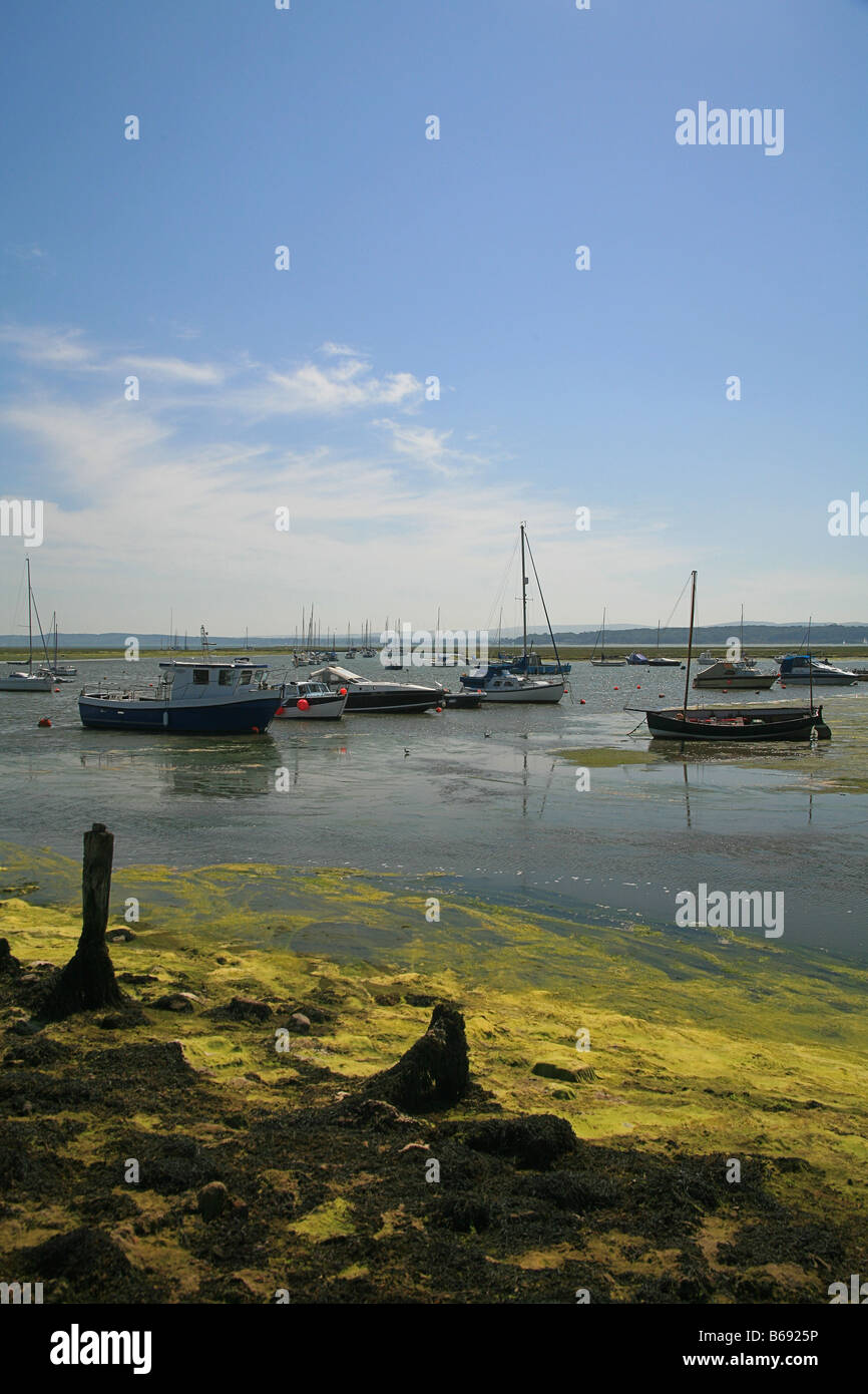 Assorted yachts moored in Keyhaven harbour Hampshire England UK Stock Photo