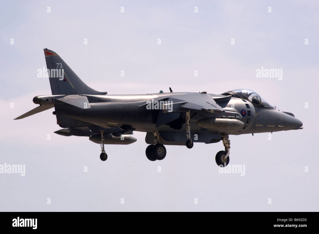 BAe Harrier Stock Photo