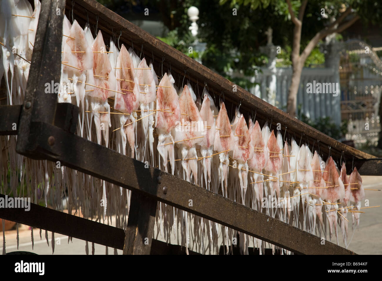 Dried Octopus, asia, fish, food, dry, seafood, asian, market
