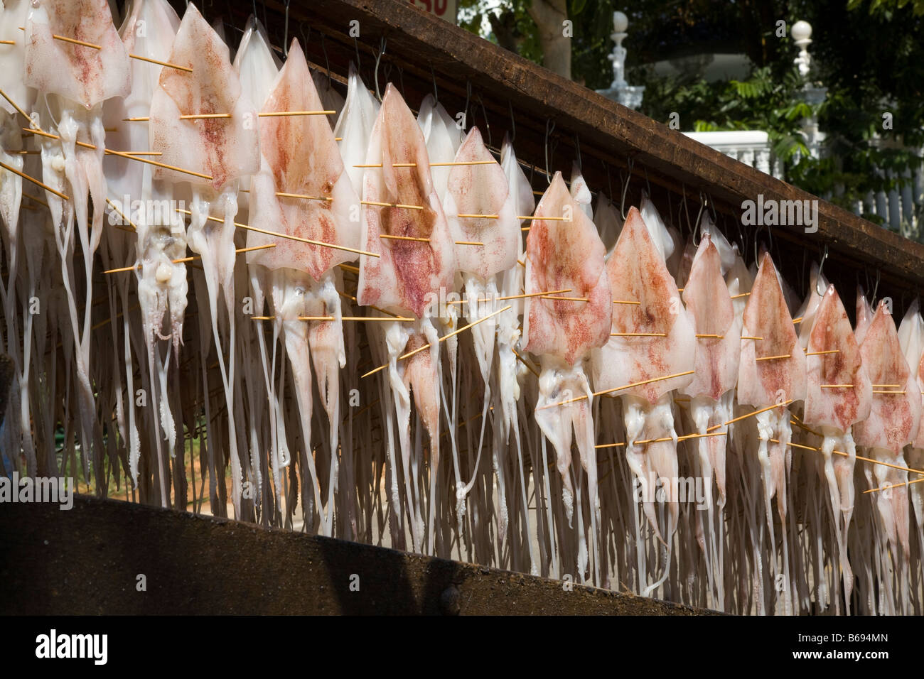 Dried Octopus, asia, fish, food, dry, seafood, asian, market