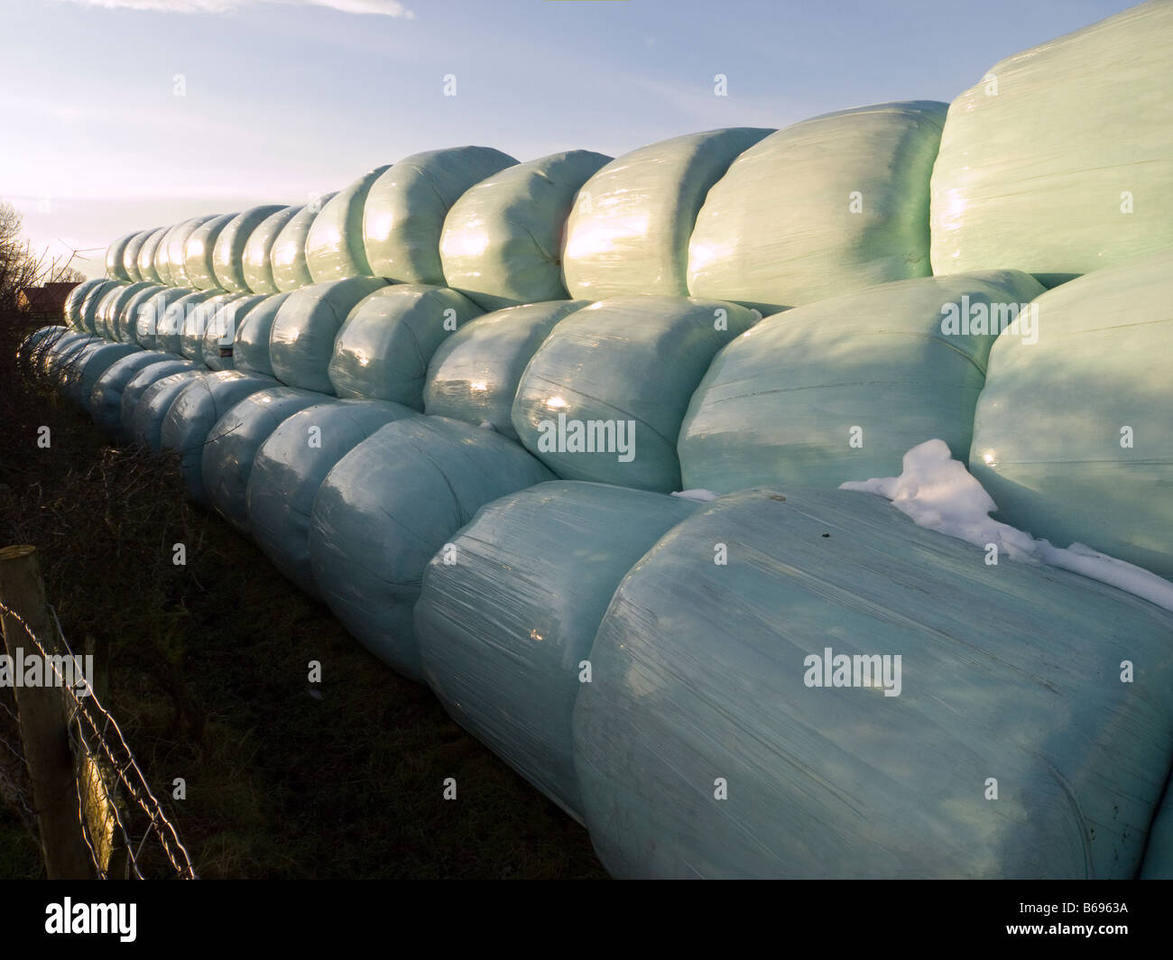 Plastic wrapped hay or straw bales on a modern farm Stock Photo Alamy