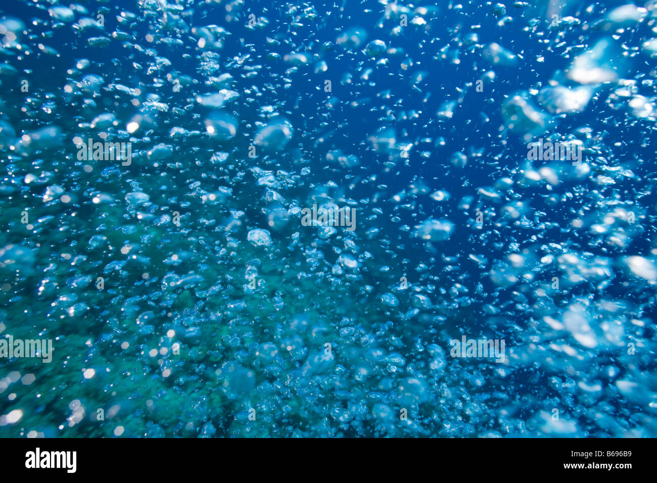 Bahamas New Providence Island Air bubbles from scuba divers swimming in Caribbean Sea Stock Photo