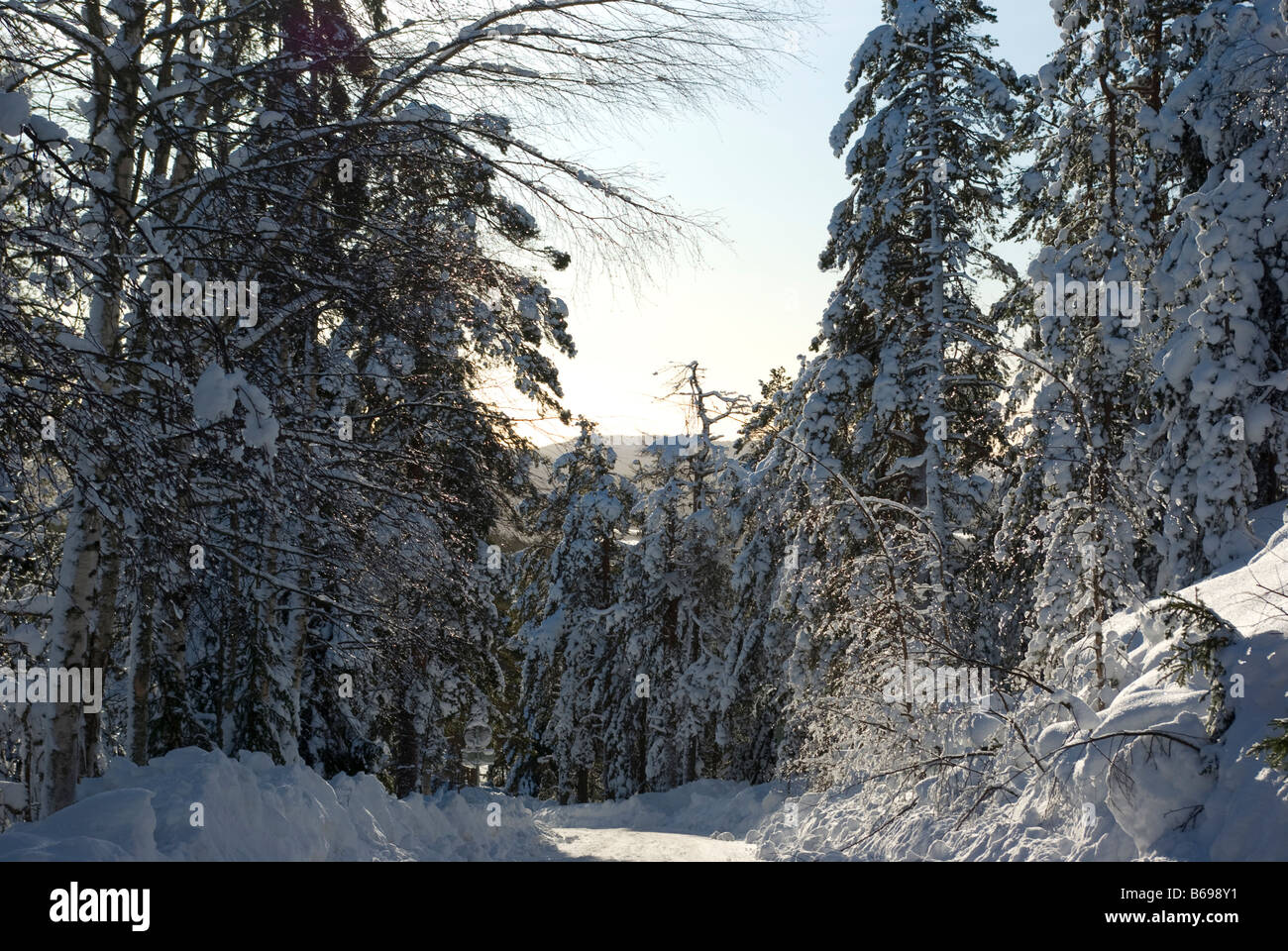 Sunny winter day in Finnish Lapland Stock Photo