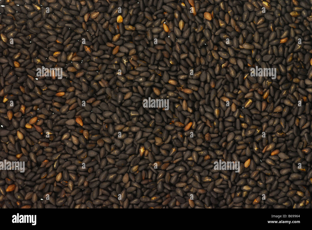 Background texture made of black sesame seeds Stock Photo