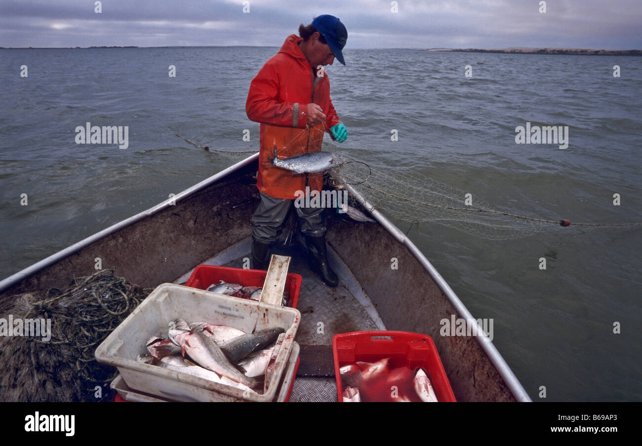 Professional fisherman, Coorong, South Australia Stock Photo Alamy