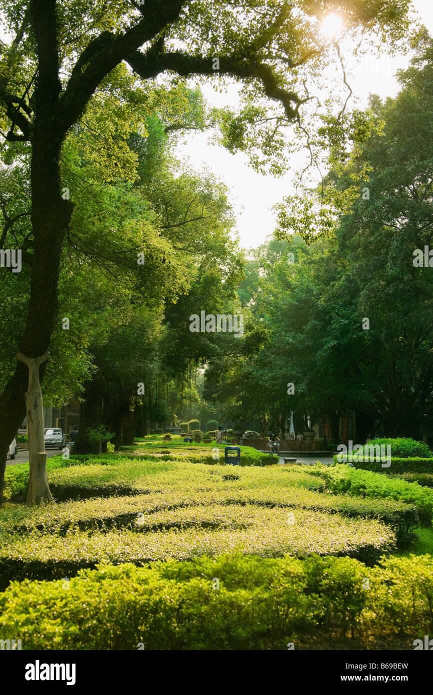 Trees and plants in a formal garden, Shamian Island, Guangzhou