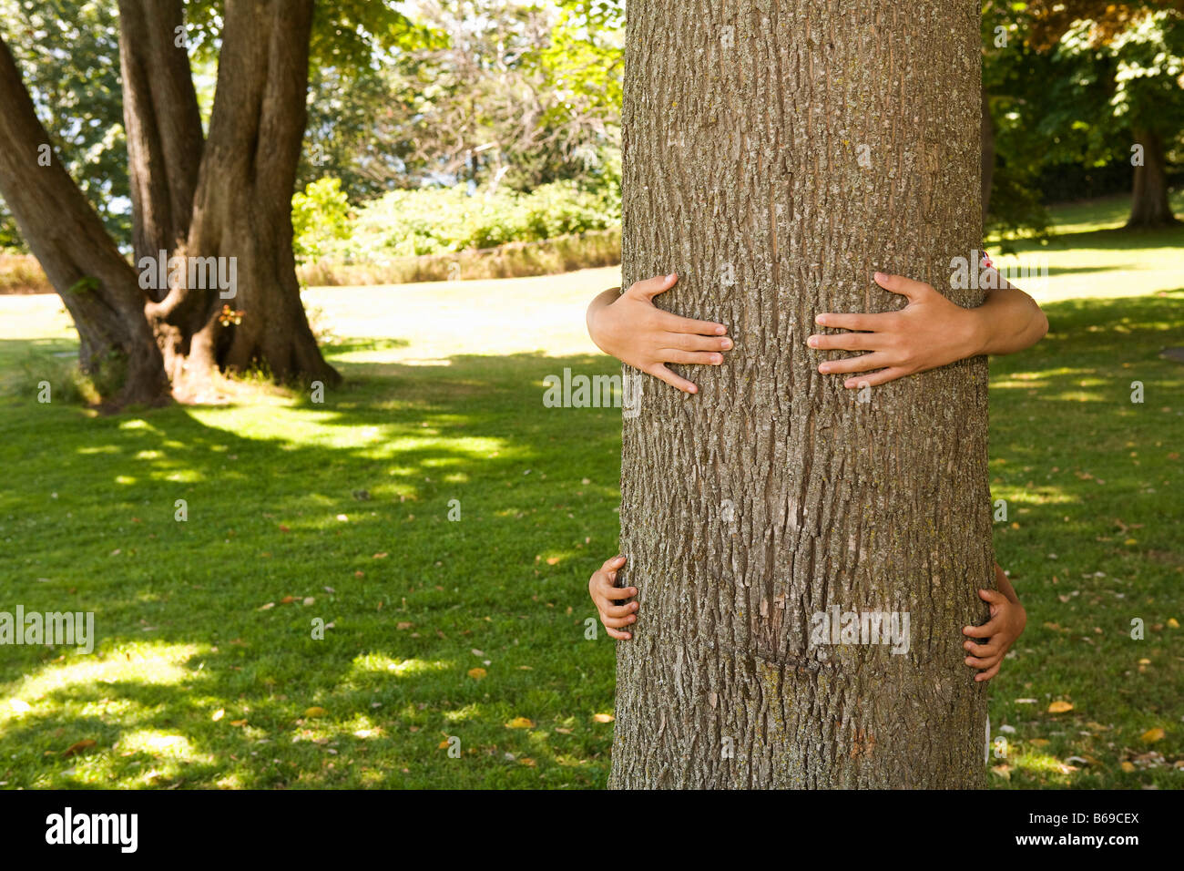 Children embracing a tree hires stock photography and images Alamy