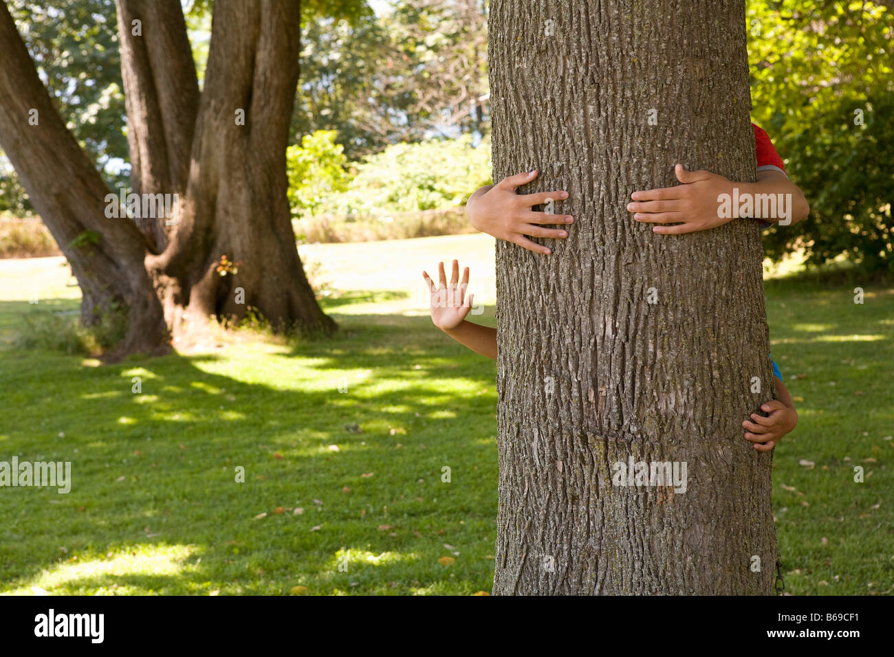 Two children hugging a tree trunk Stock Photo Alamy