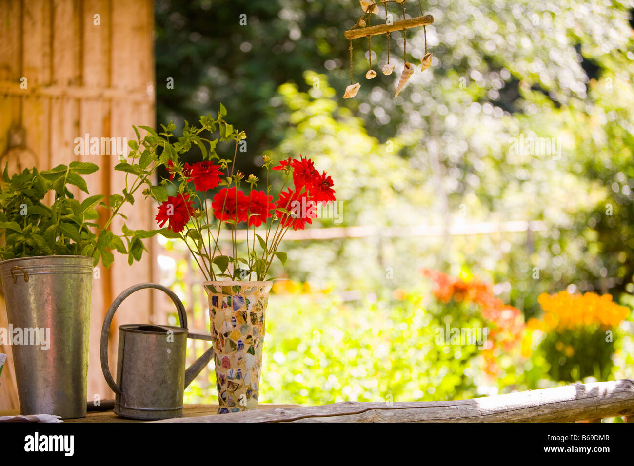 Watering can with a vase of flowers and a potted plant Stock Photo Alamy