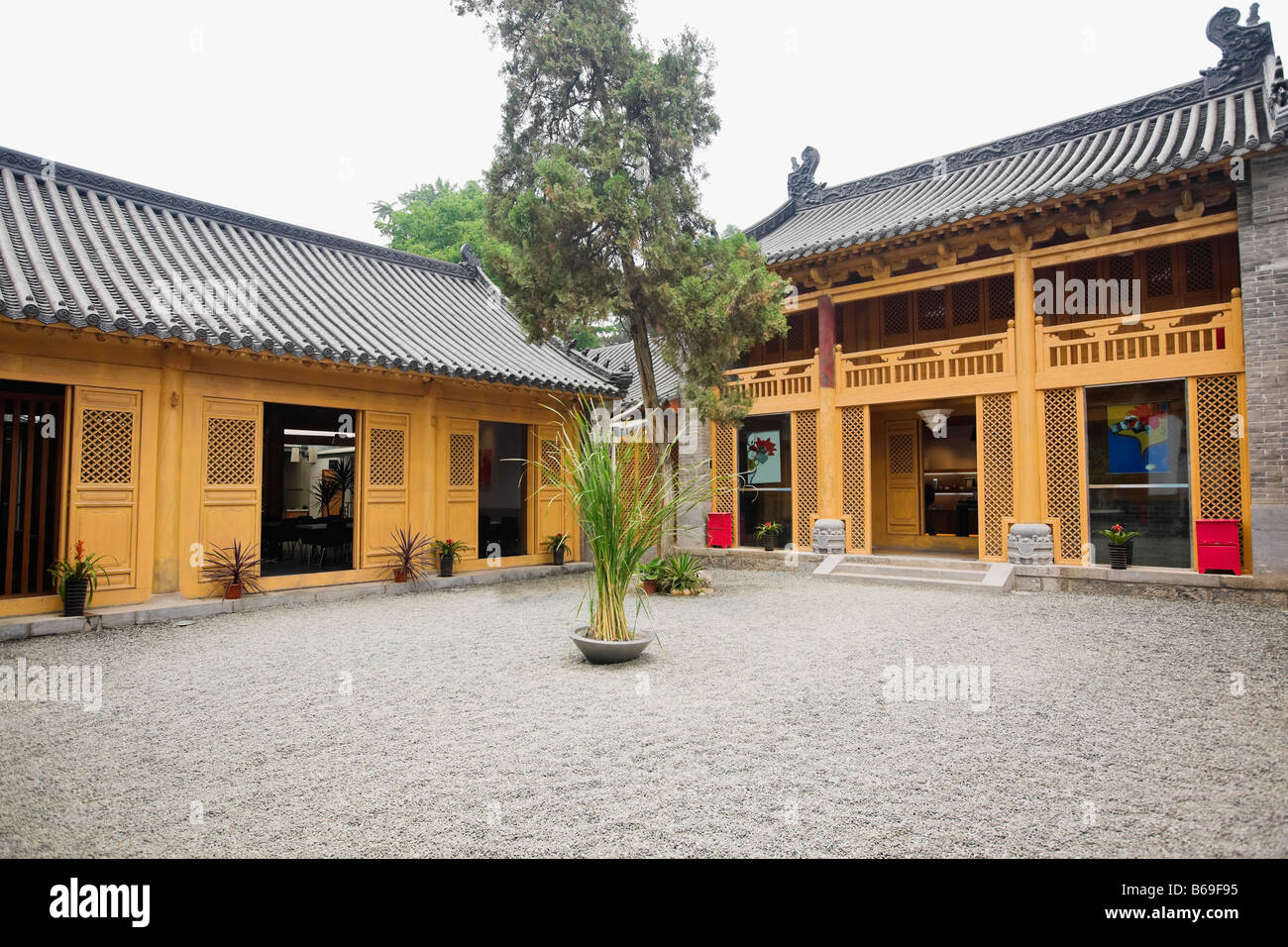 Potted plant in a courtyard, Shaolin Monastery, Henan Province, China Stock Photo