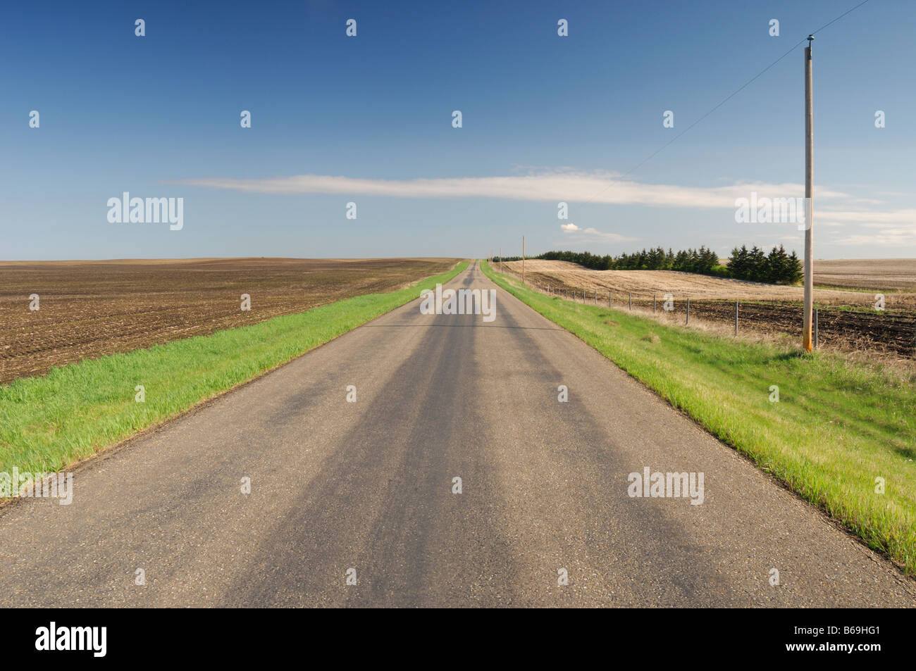 Country road extending off into the distance Strathcona County East of