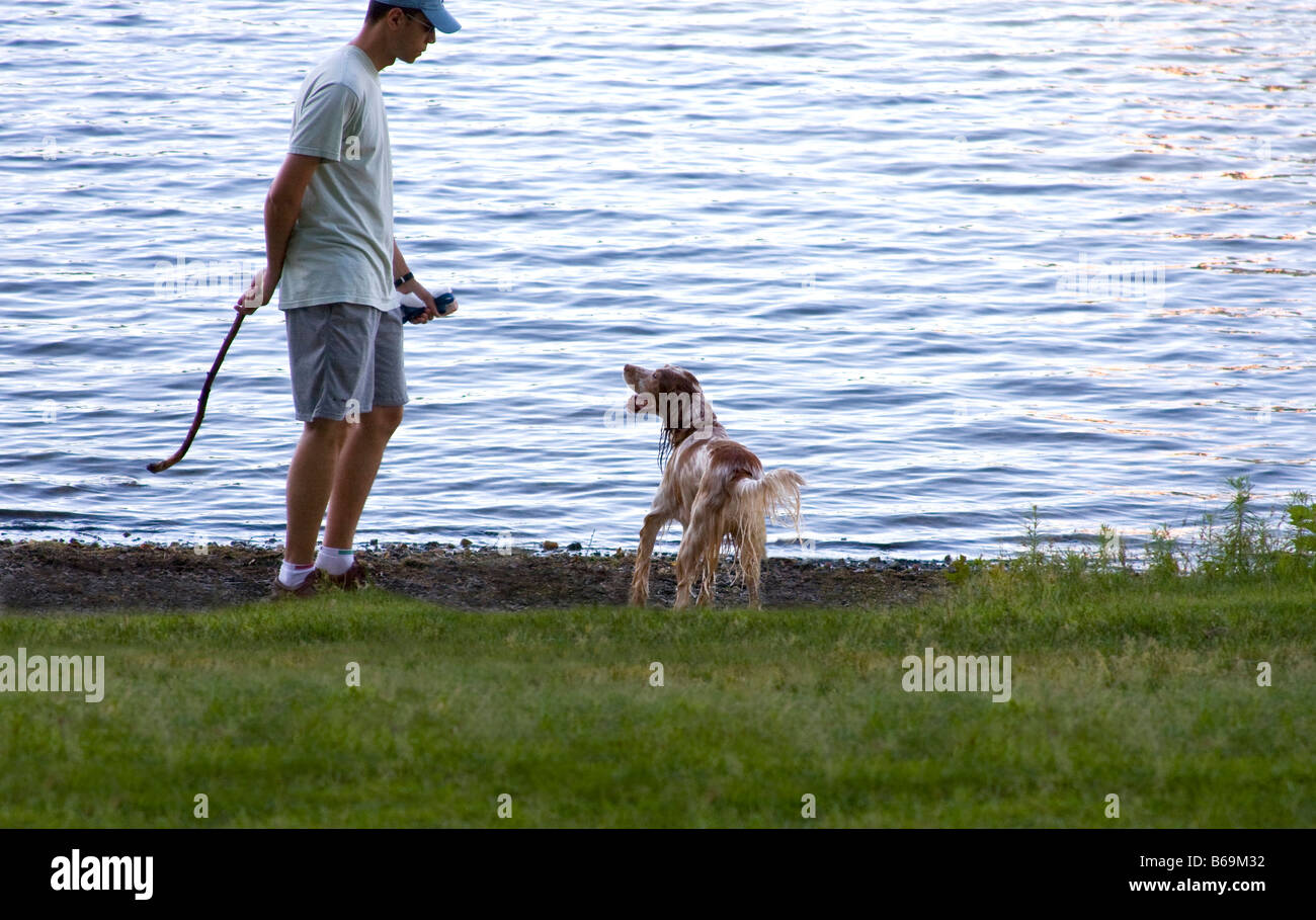 Wet Bird Dog waiting for it's Master to throw the stick. Stock Photo