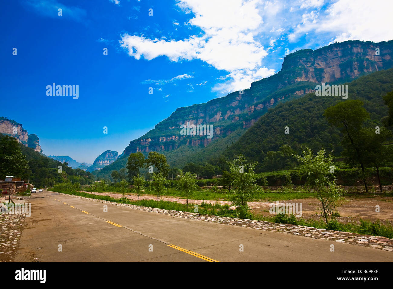 Plants along a road, Taihang Grand Canyon, Henan Province, China Stock Photo
