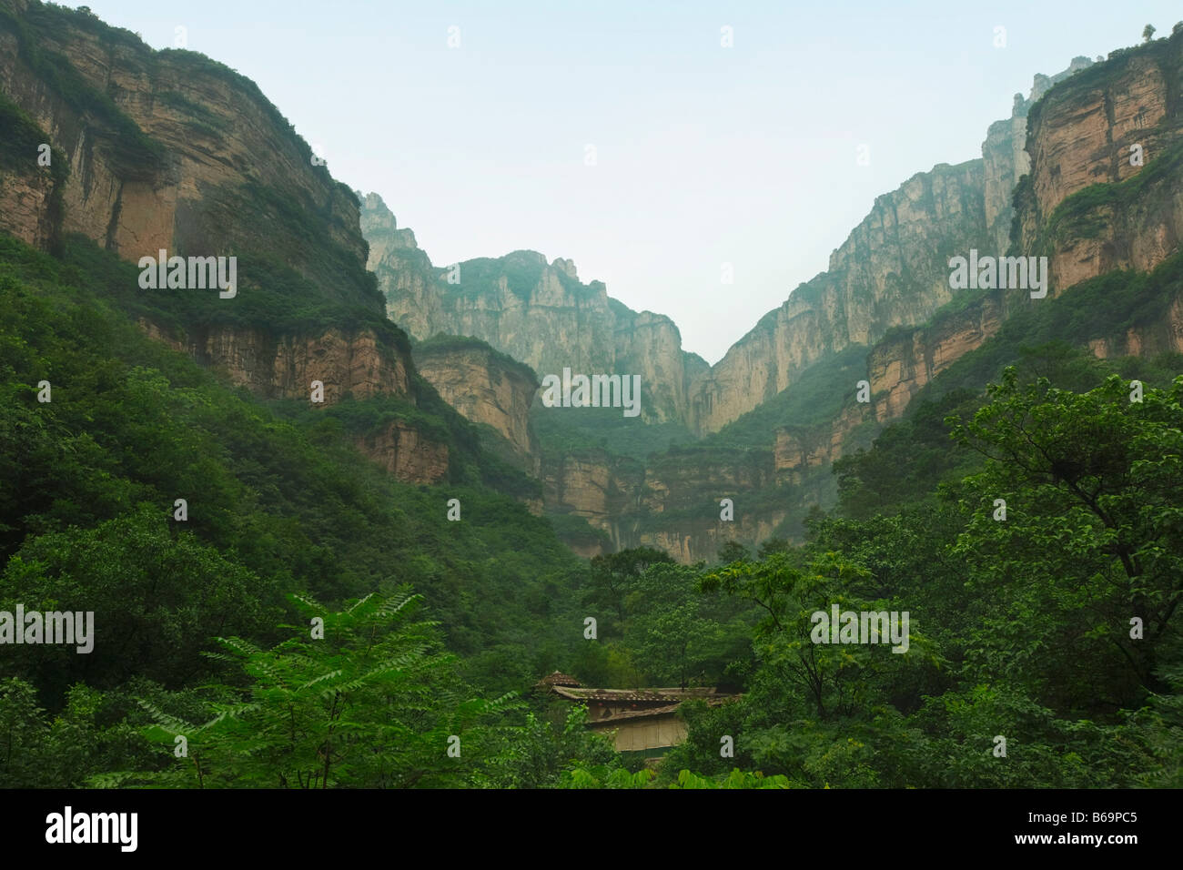 Trees in a canyon, Taihang Grand Canyon, Linzhou, Henan Province, China Stock Photo