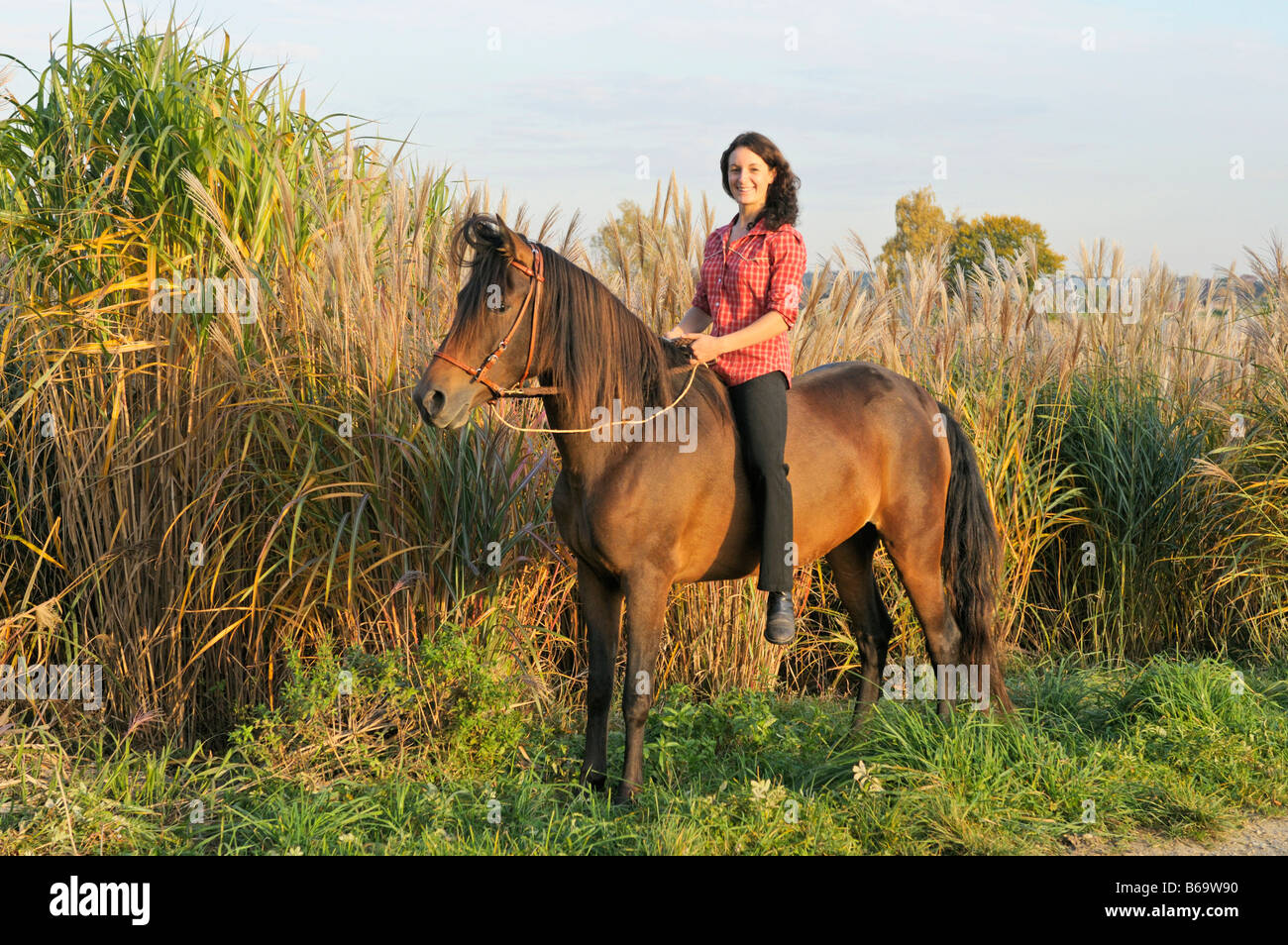 Young rider on Paso Fino horse in autumn Stock Photo