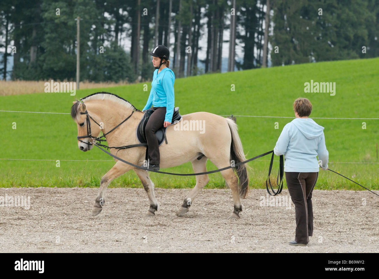 Young rider getting a lunge lesson on a "Norwegian horse Stock Photo