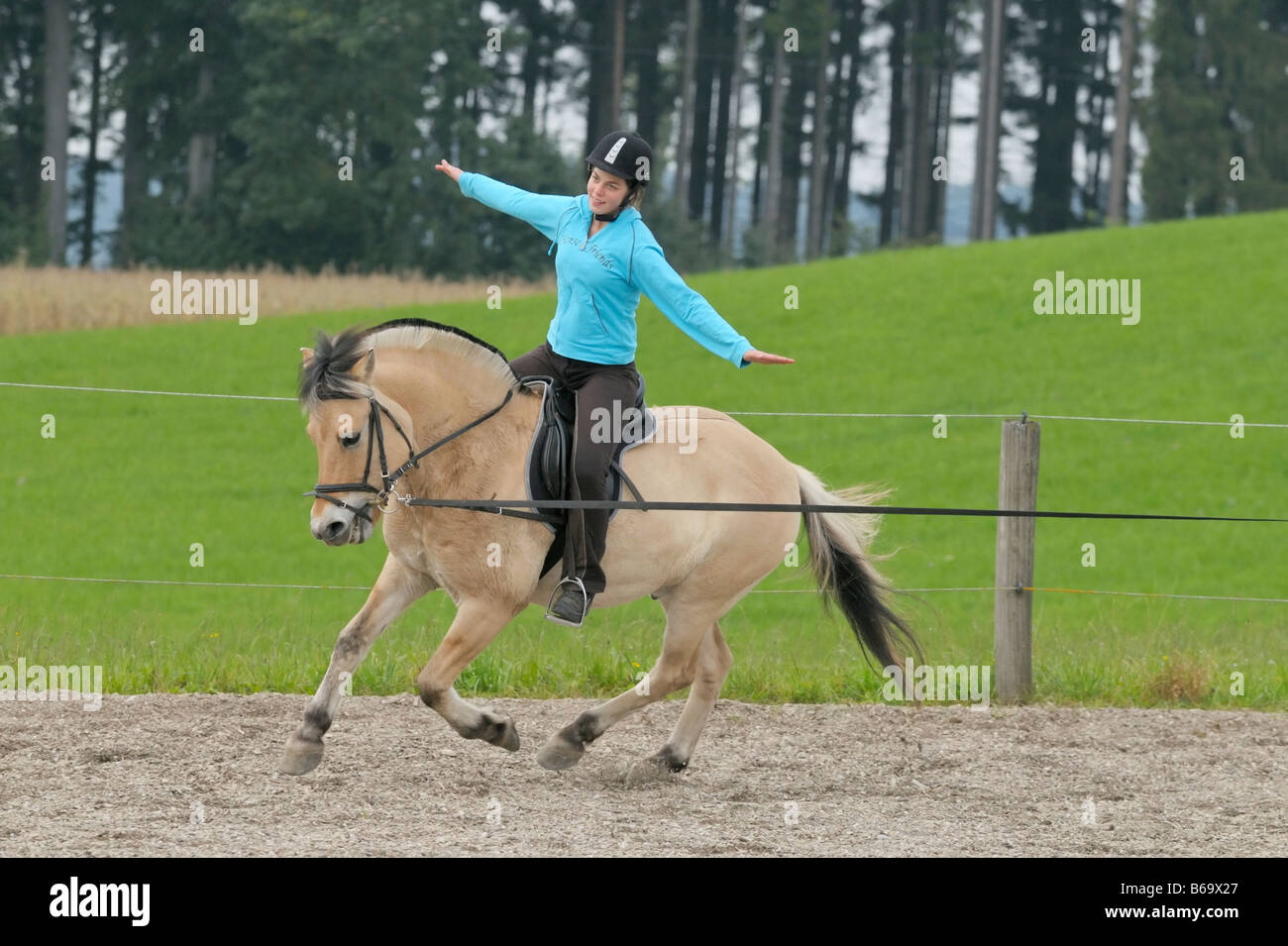 Lunging the adult rider book think, that Lunging the adult rider book was specially