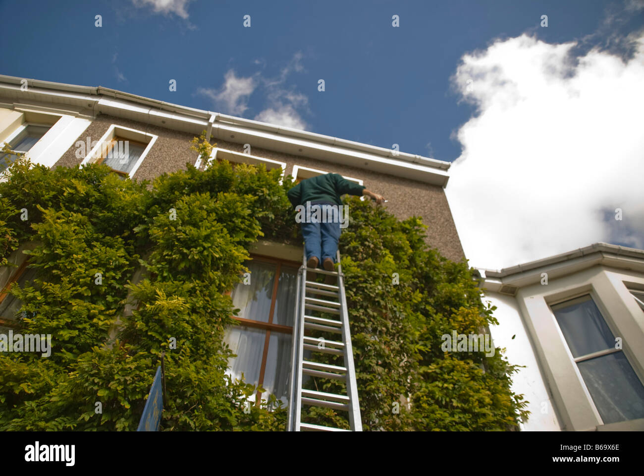 Cleaner ladder hires stock photography and images Alamy