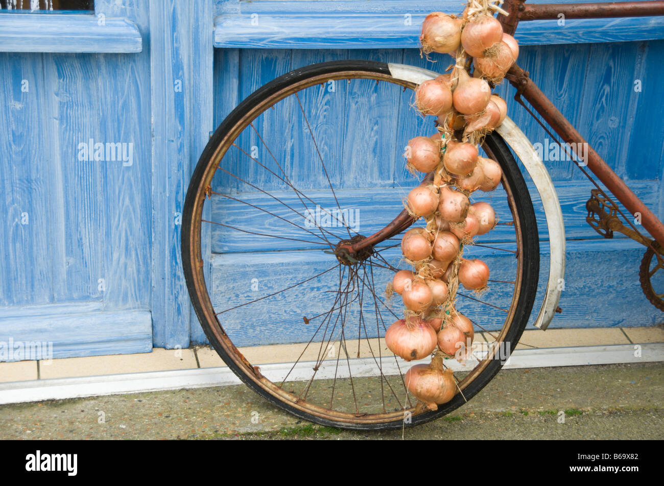 Classic onions on a bike France Stock Photo