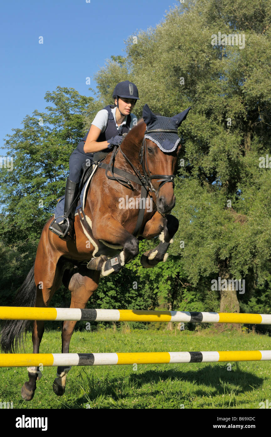 Young rider jumping Stock Photo - Alamy