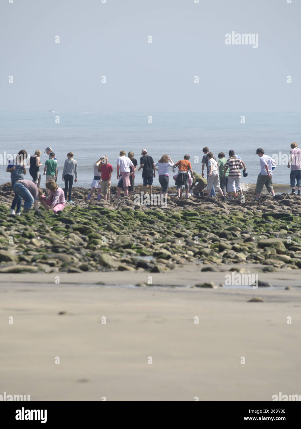 Large group of people rockpooling, Charmouth Stock Photo