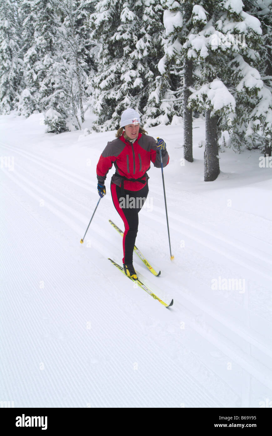 Female Cross Country Skier Stock Photo
