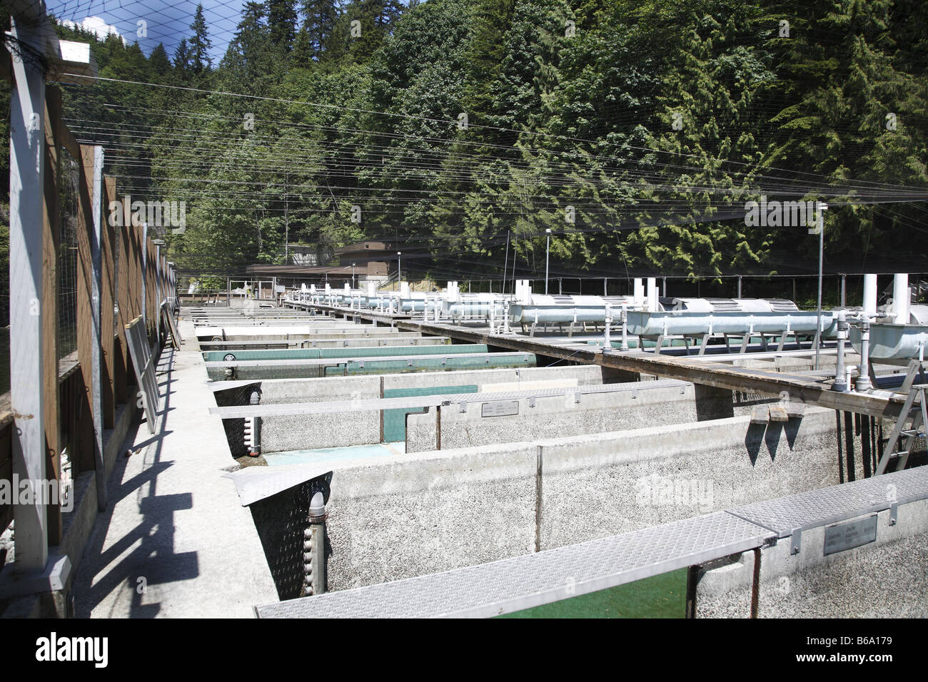 Capilano river salmon hatchery hires stock photography and images Alamy