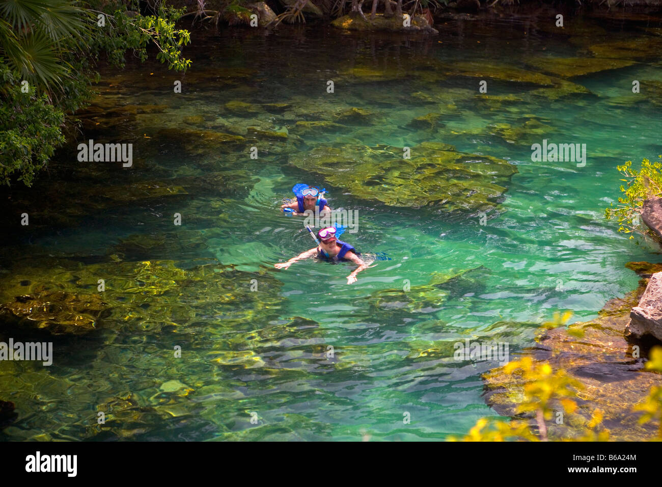 Mexico, Quintana Roo, Xel Ha, XelHa nature / marine park, Swimming / snorkeling in river Stock