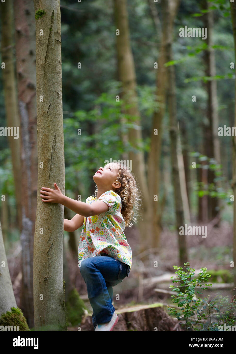 Young girl starting to climb tall tree Stock Photo