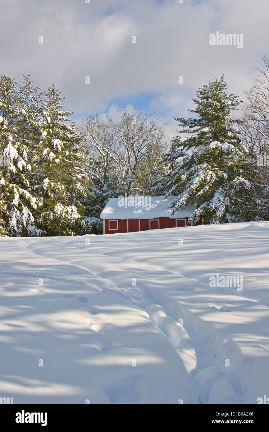 A Little Red Cabin Beneath Snow Covered Evergreens Stock Photo