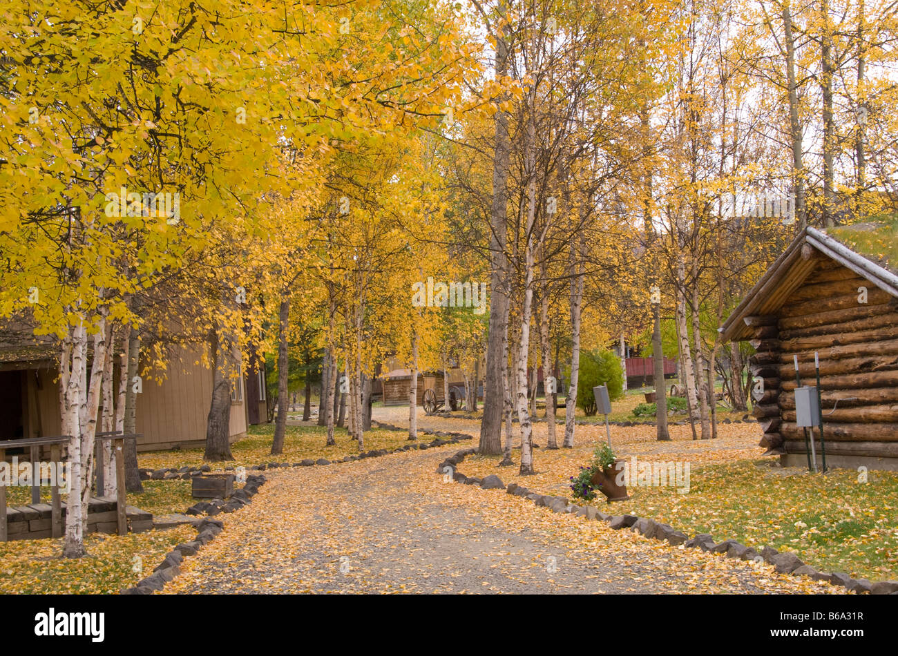 Log cabin at Chena Hot Springs Resort, Alaska Stock