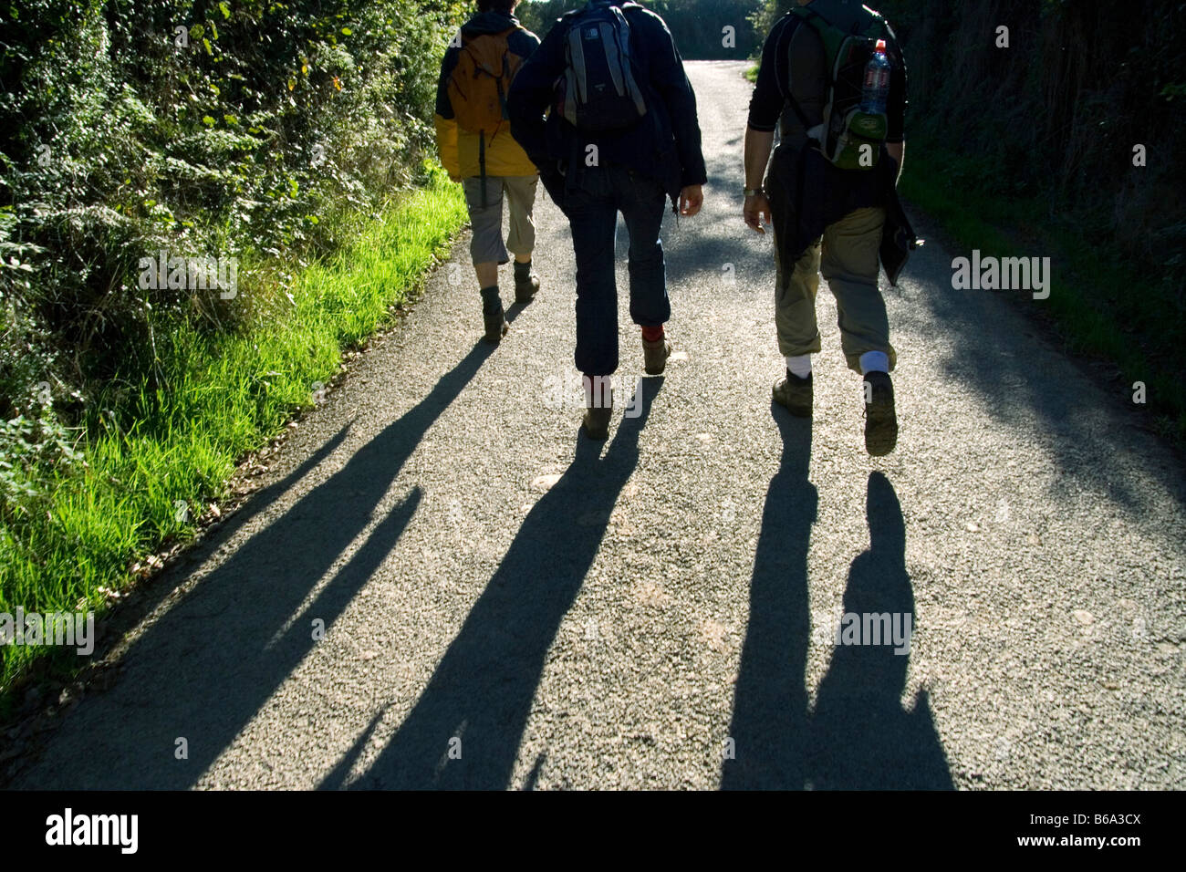 walkers on country road in Cornwall, UK Stock Photo