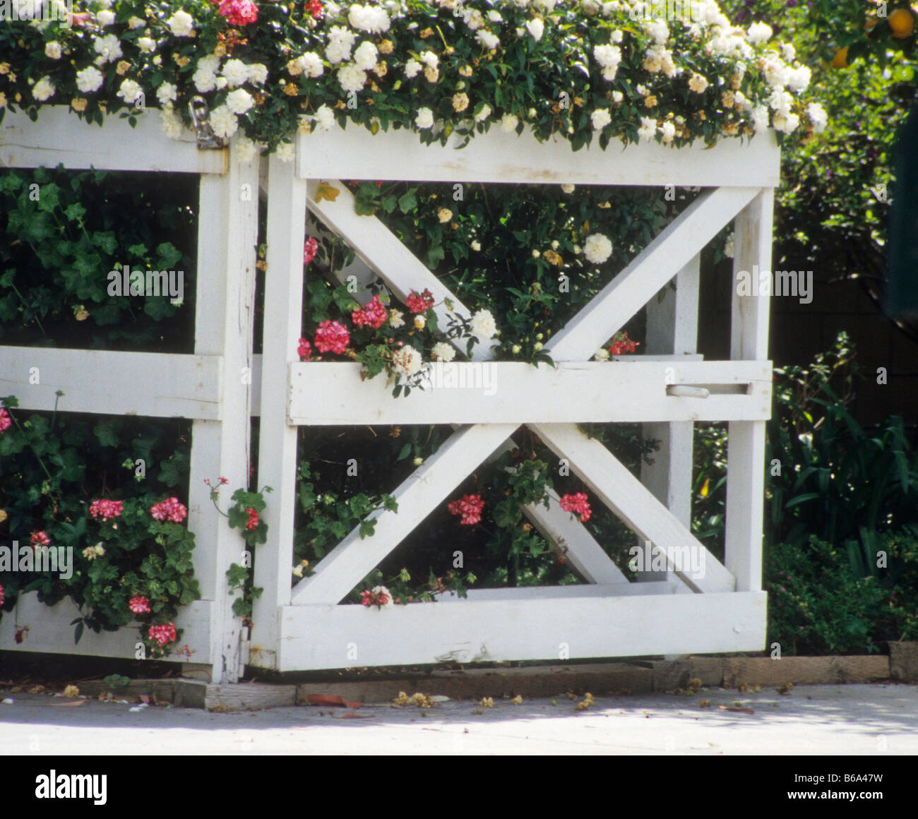 White wood gate with dual diagonal support pieces Stock Photo