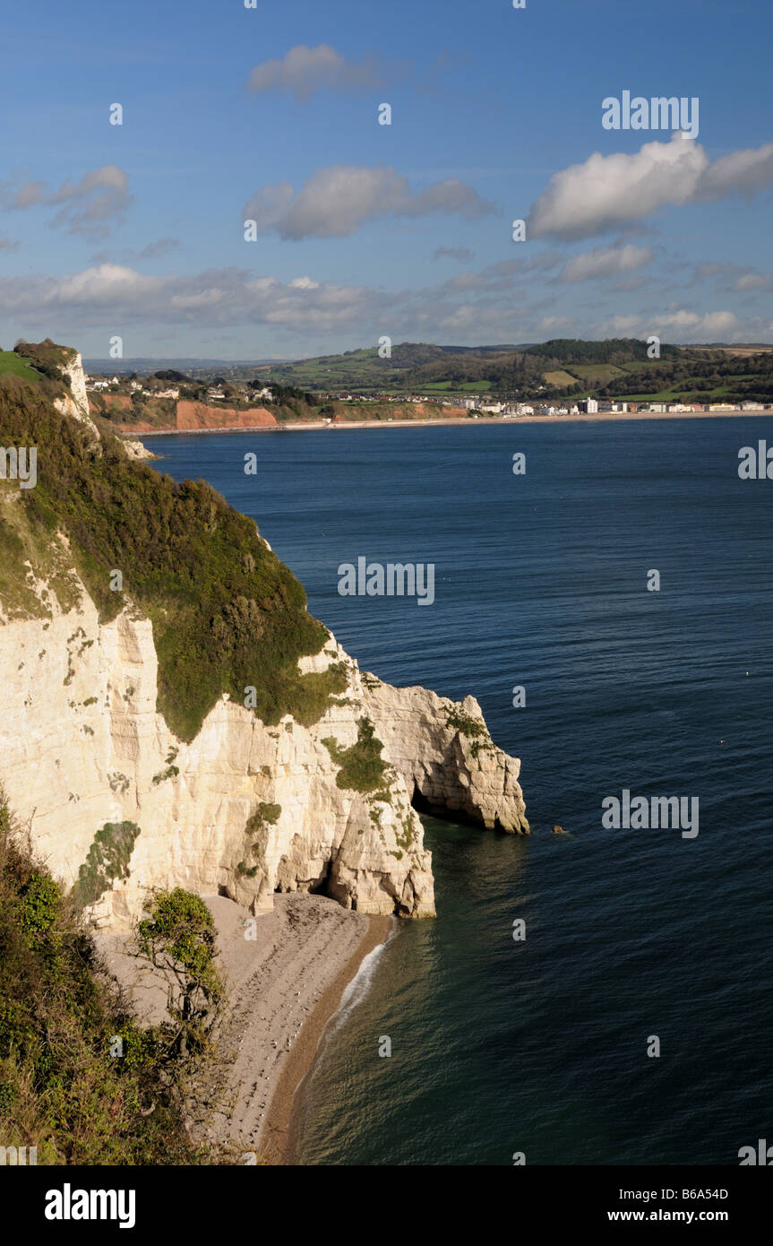 White cliffs on the Jurassic Coast looking towards Seaton Devon UK Stock Photo