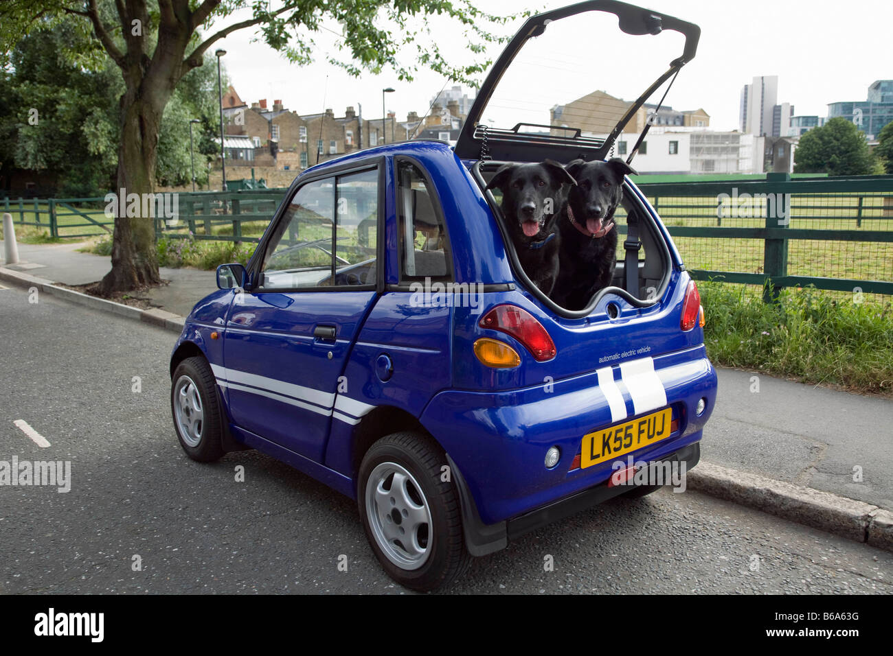 Dogs panting in boot of electric car Stock Photo Alamy