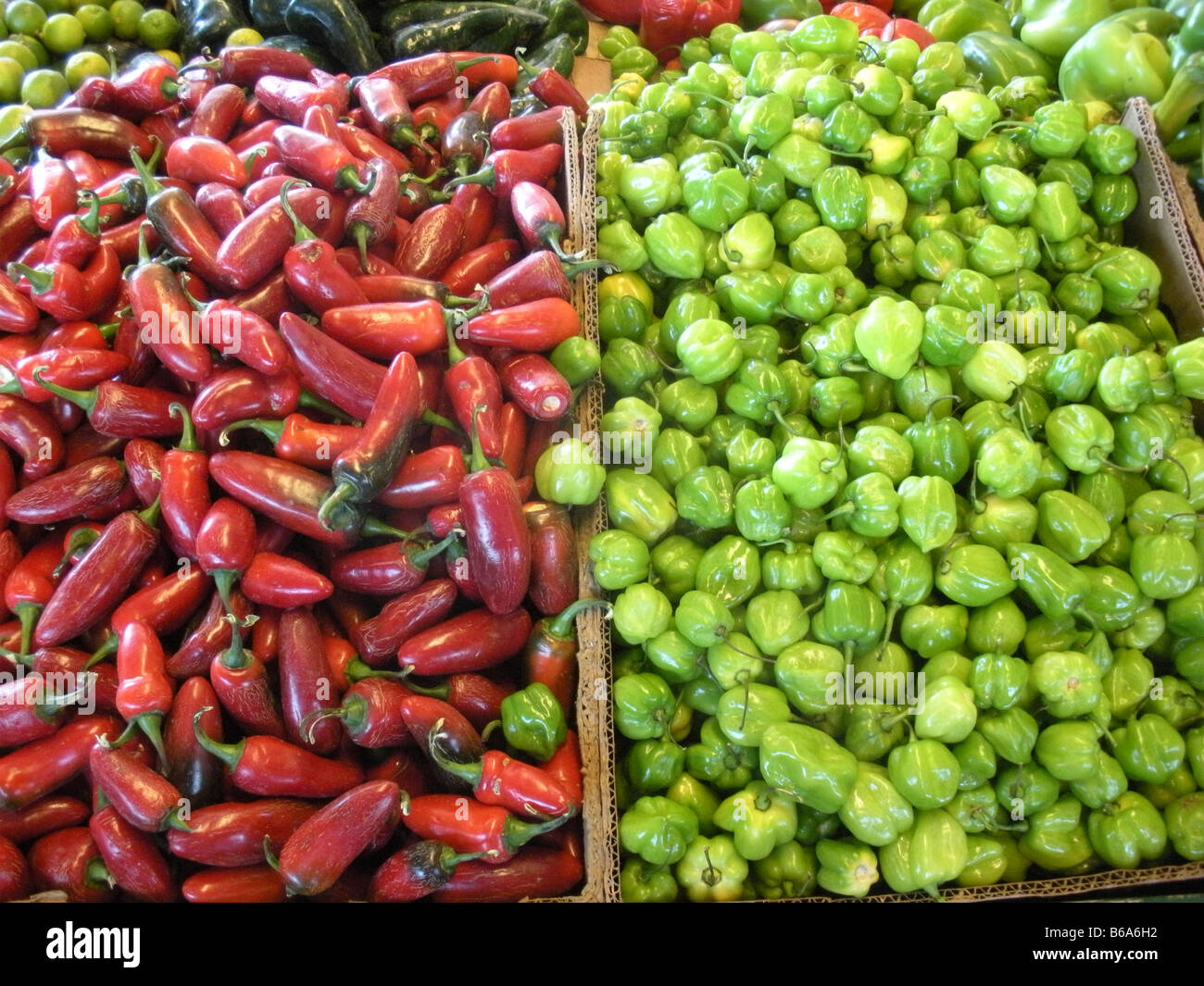 Red and green chile peppers at Houston, Texas farmer's market Stock ...