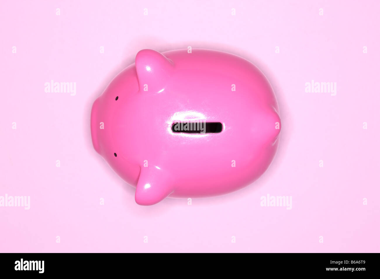 Pink piggy bank on pink background Stock Photo