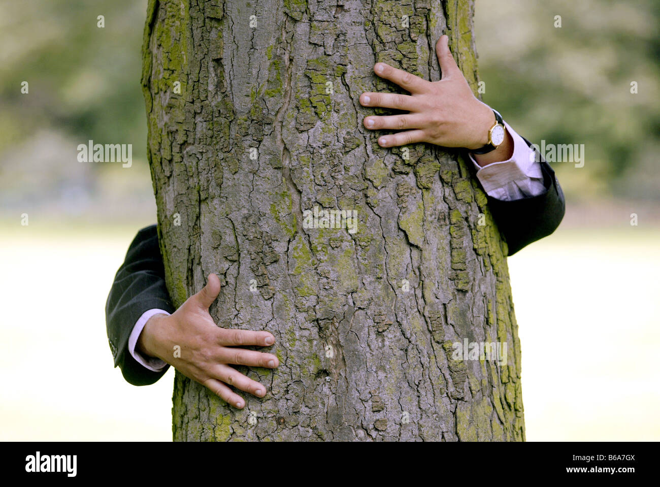 Man in a business suit hugs a tree Stock Photo
