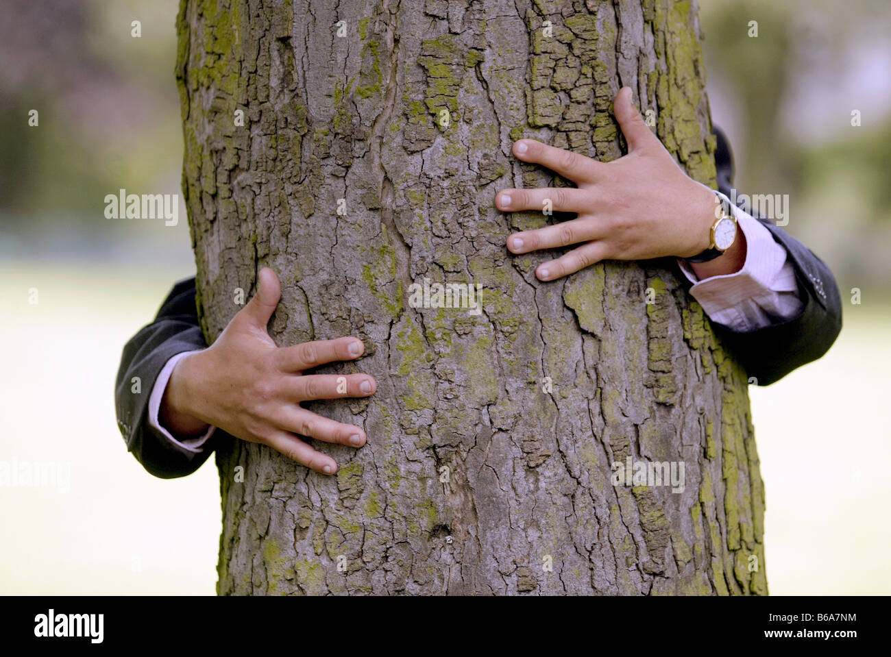Man in a business suit hugs a tree Stock Photo