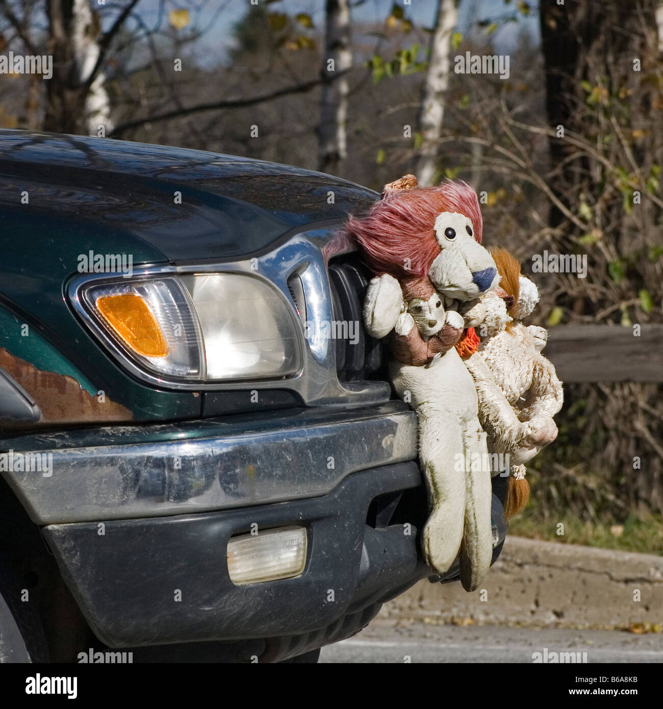 soft toys for car