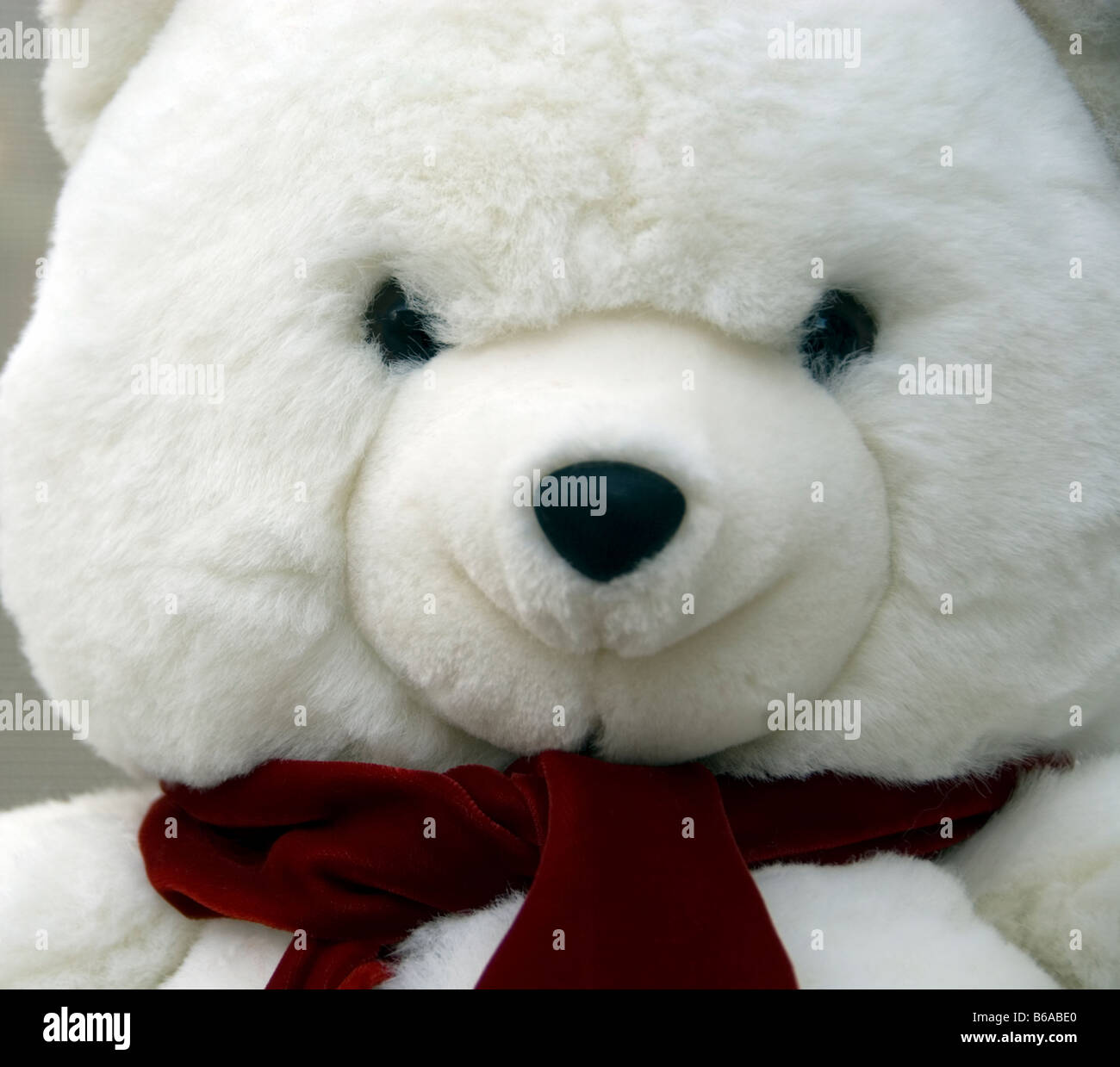 Black And White Polar Bear High Resolution Stock Photography and Images ...