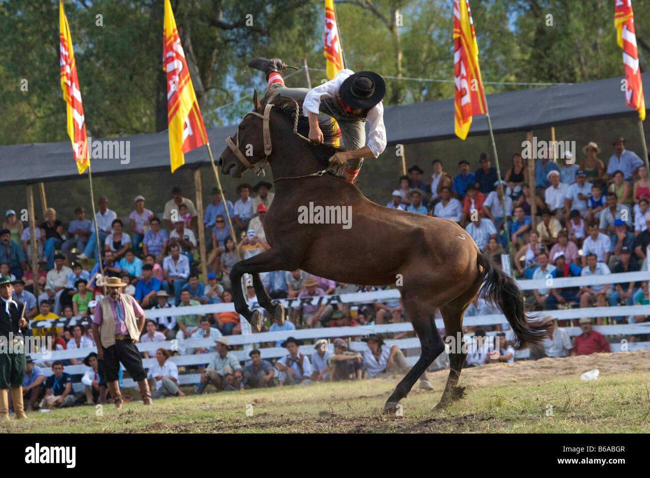 rodeo horse Uruguay fiesta gaucho cow-boy cowboy Stock Photo - Alamy