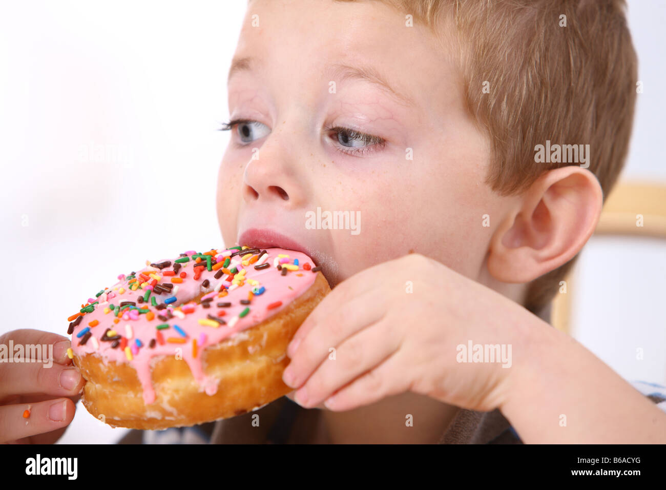 Young boy eating doughnut Stock Photo