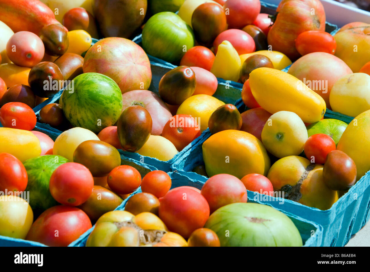 Boxes of organic heirloom tomatoes for sale Stock Photo - Alamy
