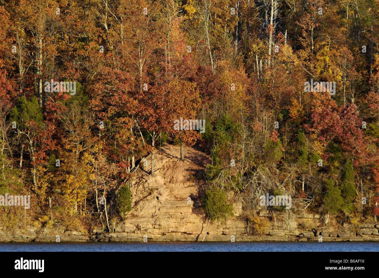Autumn Color and Shoreline of Watts Bar Lake in Rhea County Tennessee