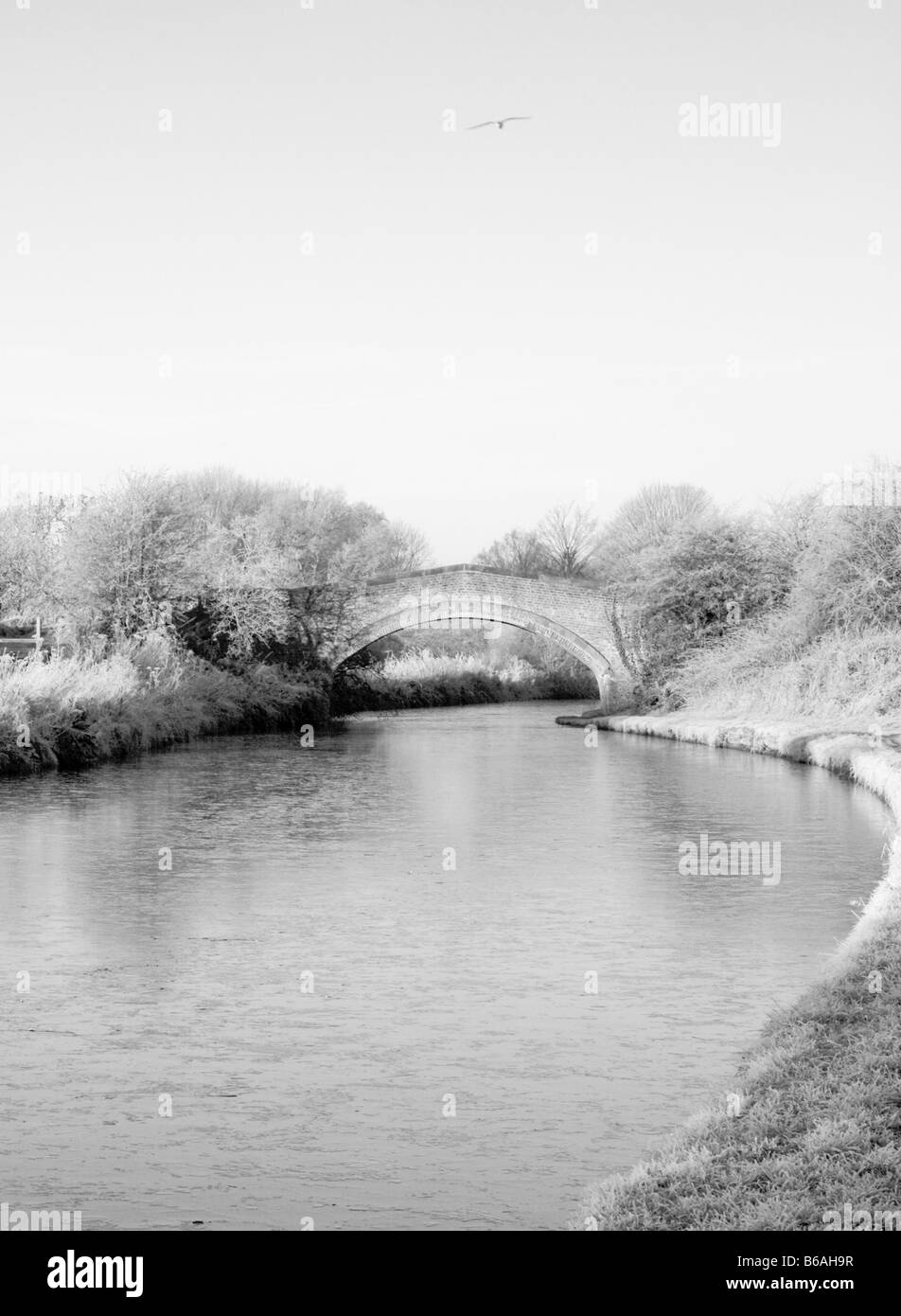 Canal and bridge in winter, Lymm, Warrington, Cheshire England Stock Photo